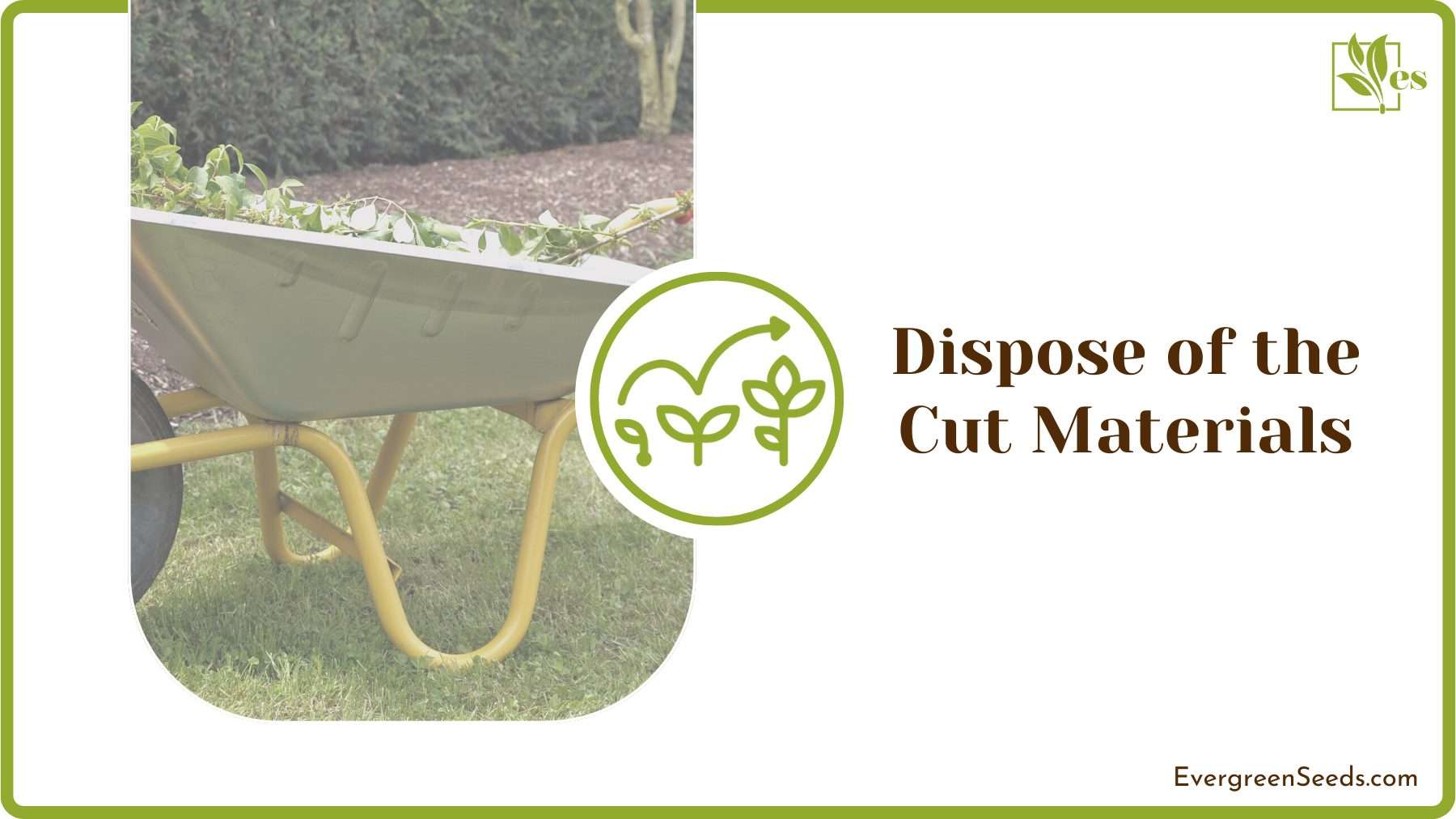 Disposing of Plant Waste