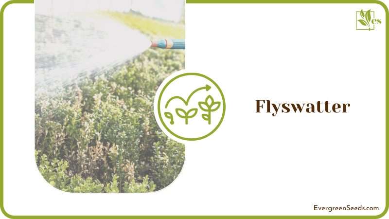 Using Flyswatter on Plants