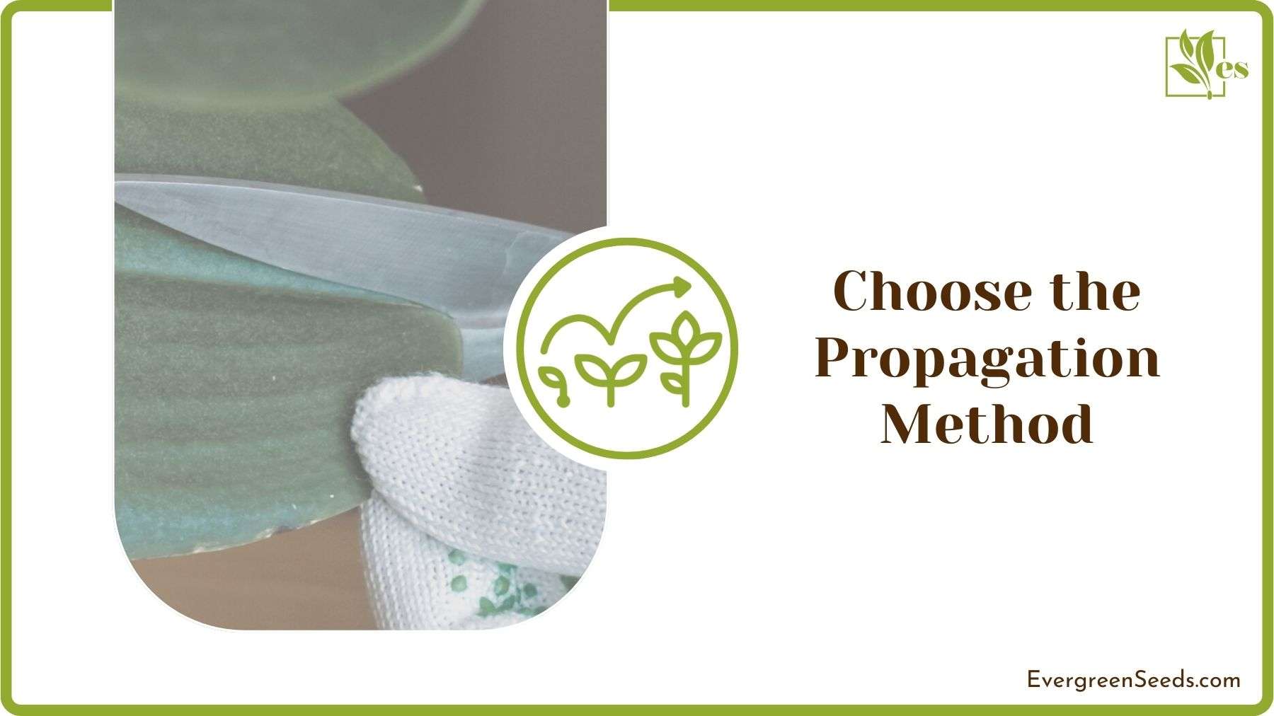 Choosing Propagation Method