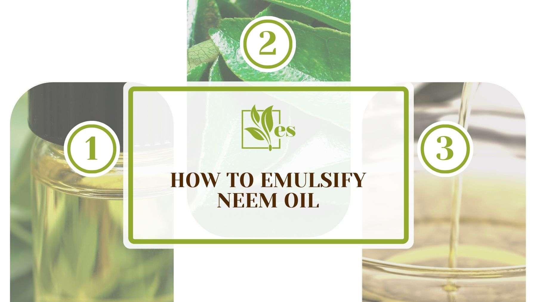 How to Emulsify Neem Oil