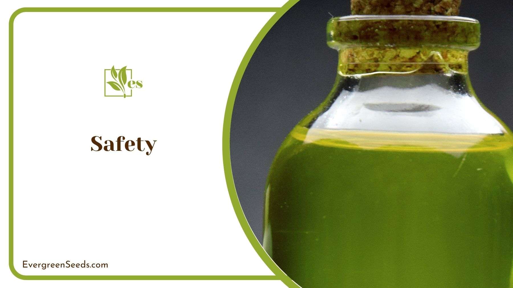 Safety of Using Neem Oil