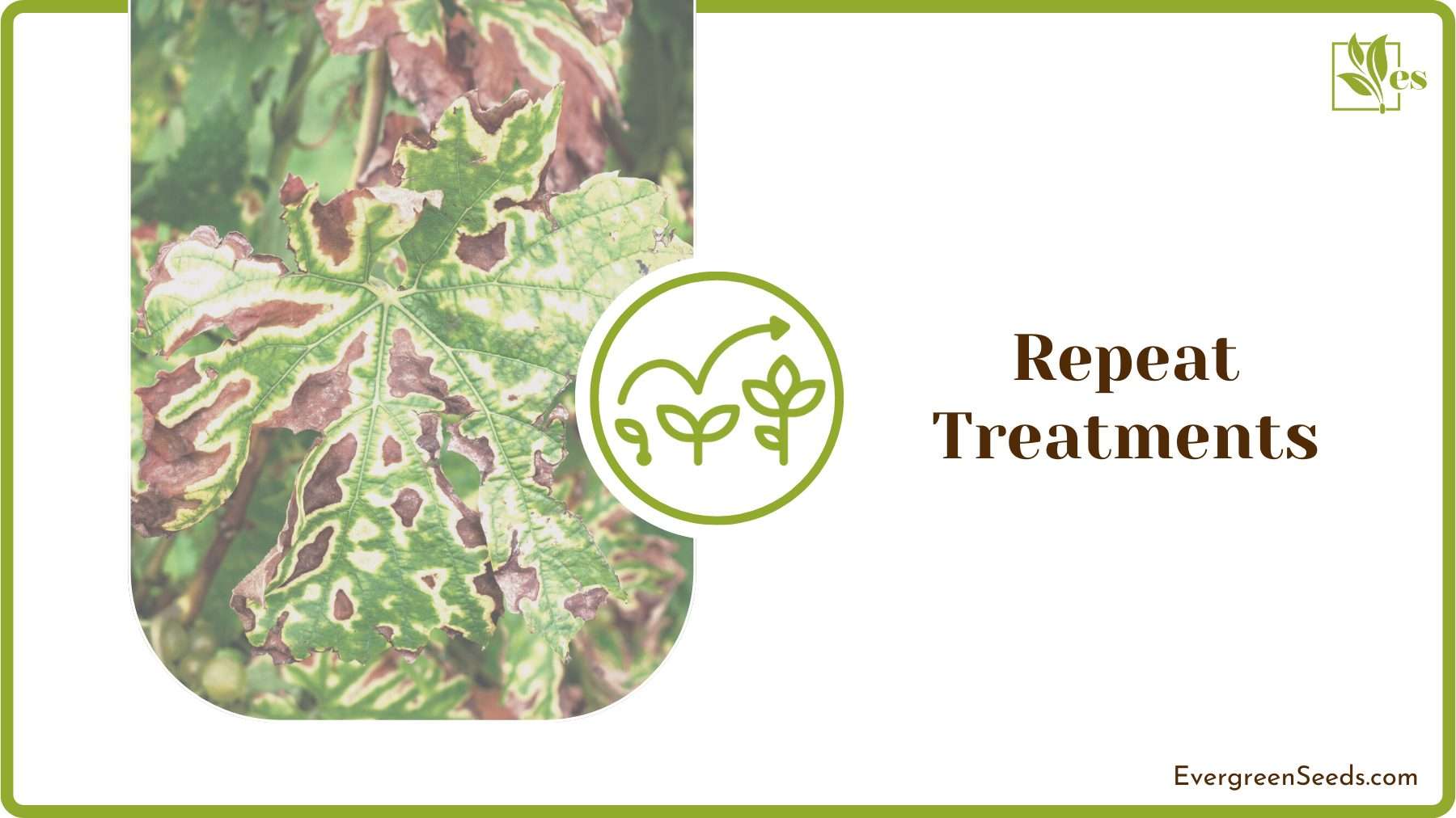 Treating Infected Plants