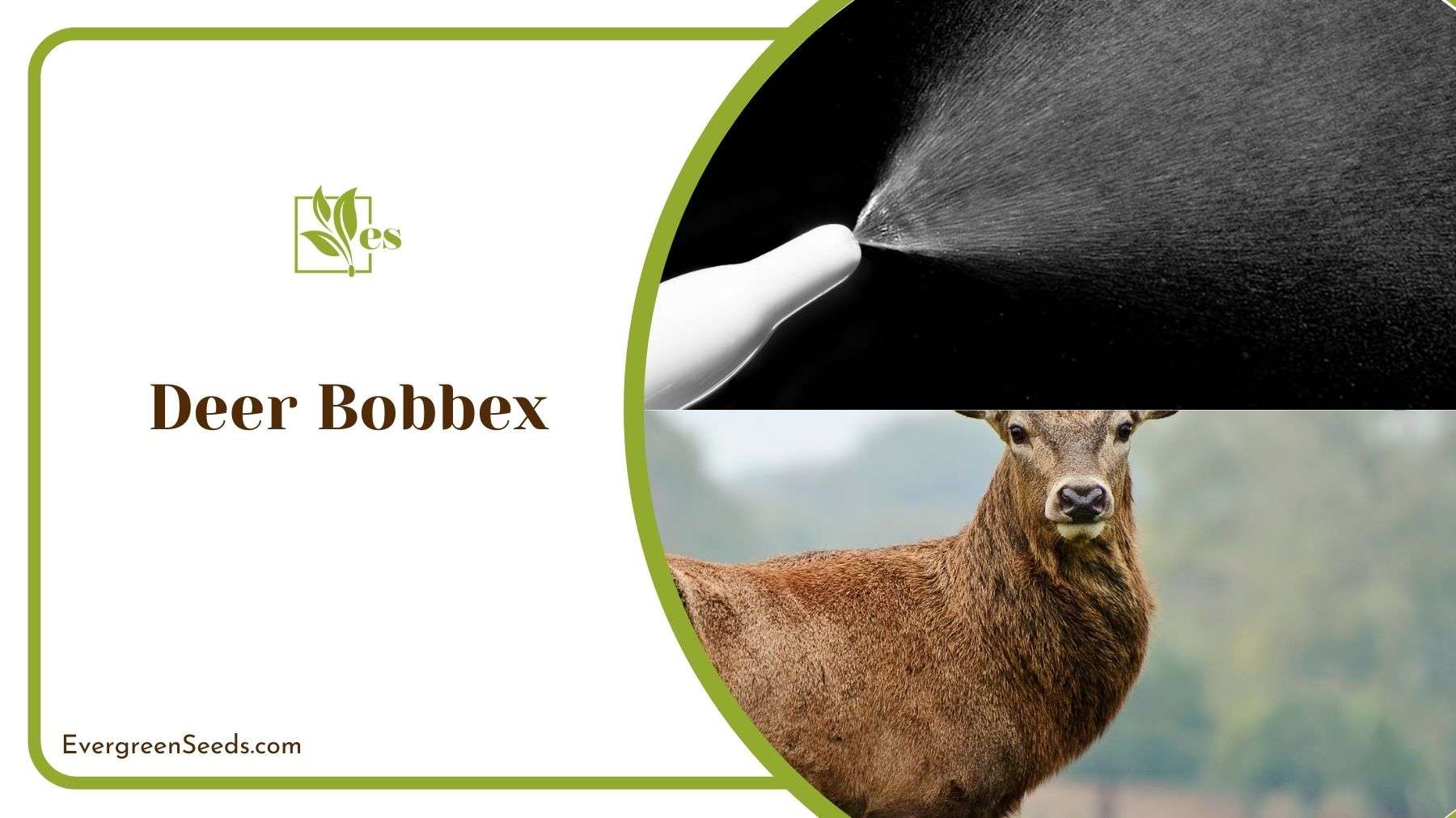 Deer Bobbex Spray