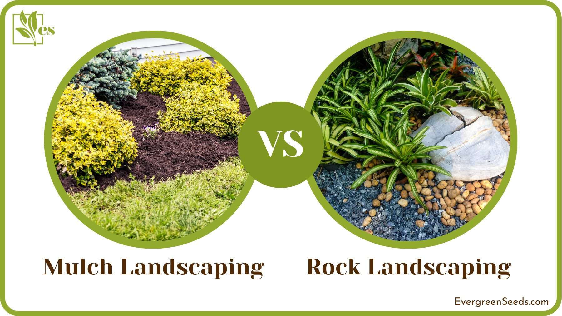 Mulch Vs Rock Landscaping