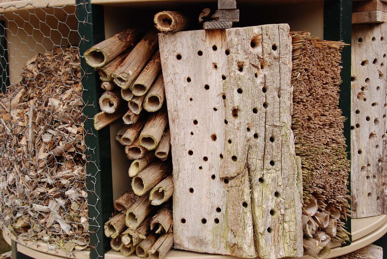 bug, insect hotel, hotel