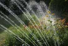 Sprinkler irrigation garden