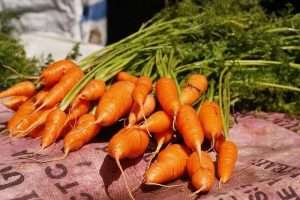 A pack of kuroda carrots