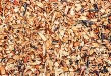 Wood chips made by a best wood chipper under