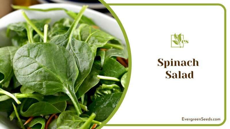 Green spinach salad