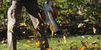 Gardener blowing leaves with husqvarna bt