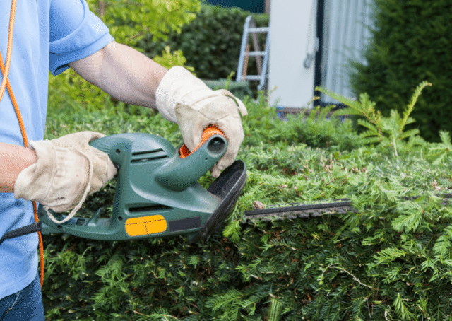 Person with a hedge trimmer