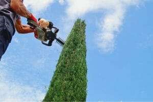 Greenworks cordless hedge trimmer