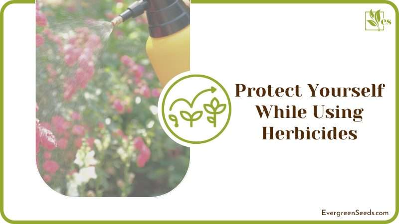 Protect Yourself While Using Herbicides