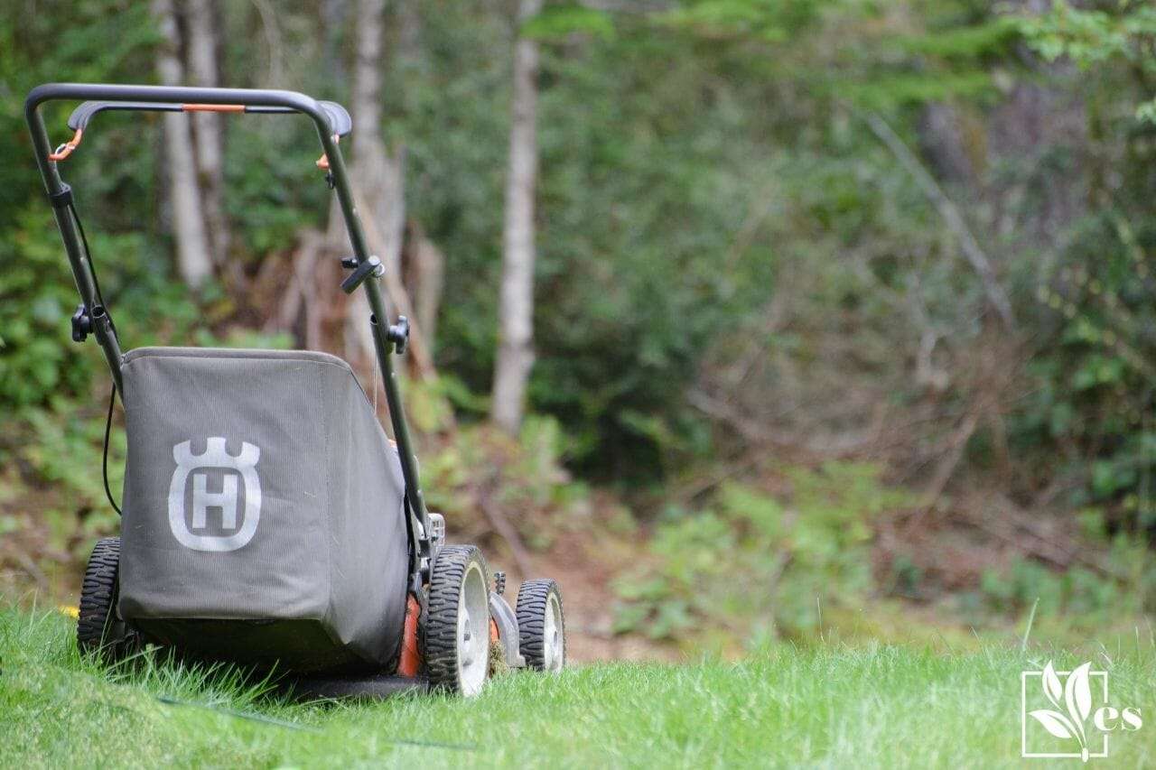A Lawn Mower on the Grass