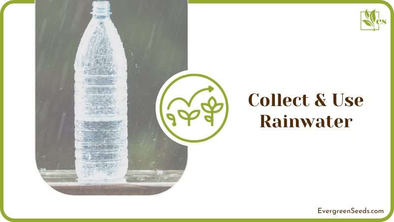 Eco friendly Watering