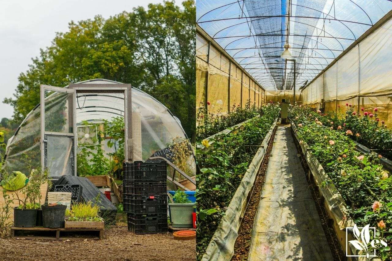 Hoop House vs Greenhouse Comparison