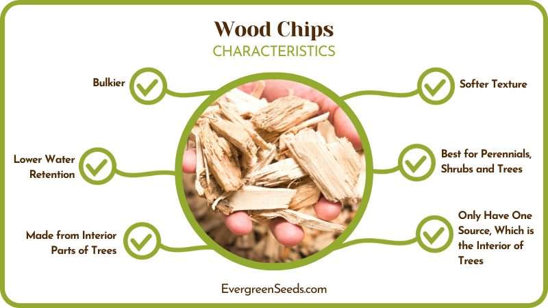 Wood Chips vs Mulch Characteristics