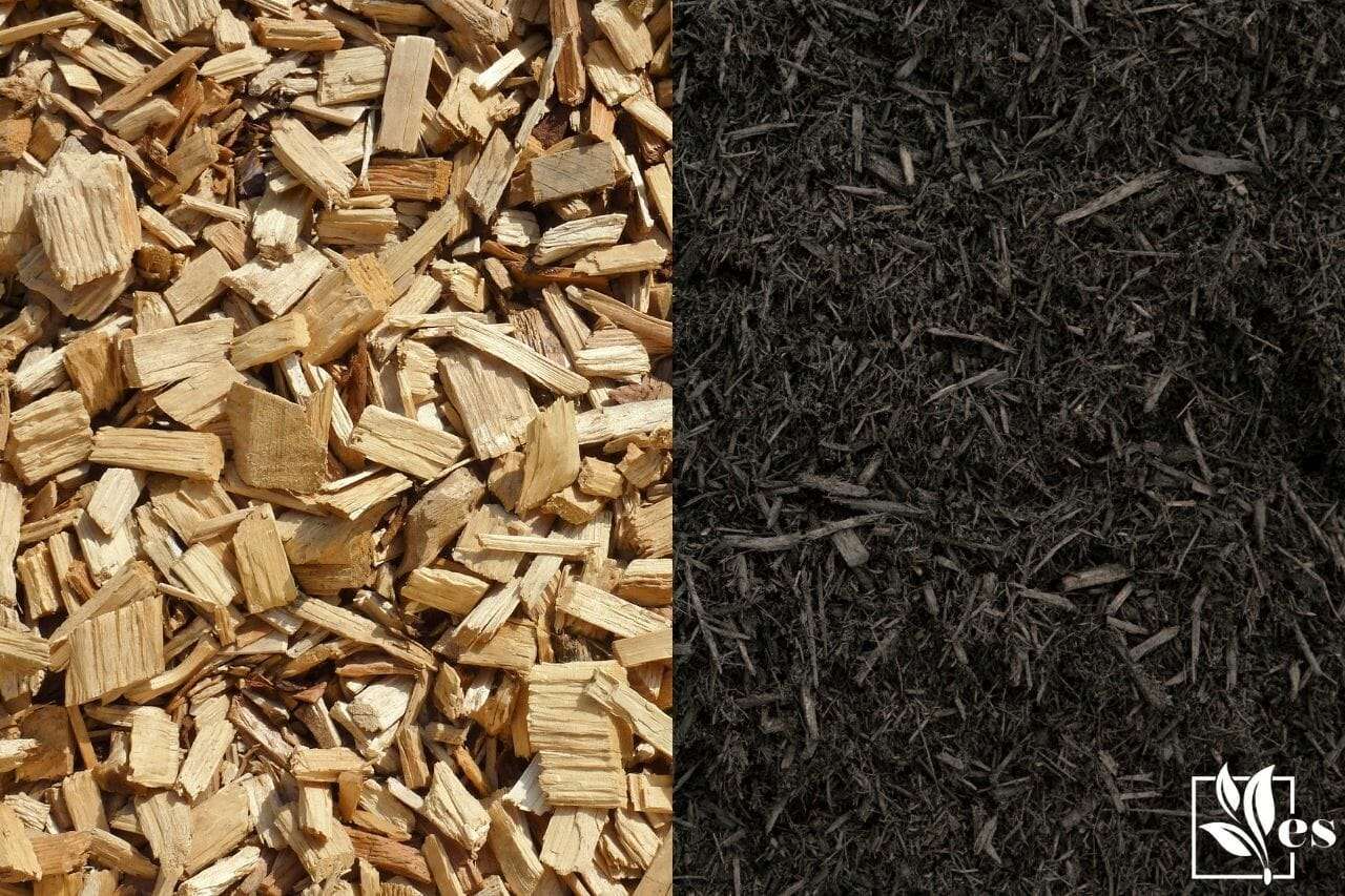 Bark Mulch Vs Wood Chips 