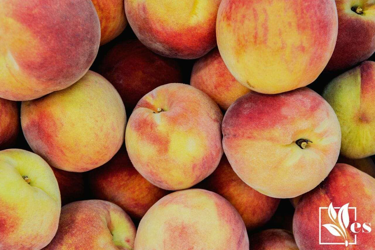 8. Semi-Freestone Peaches