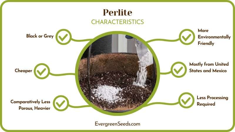 Pumice vs Perlite Growing Plants