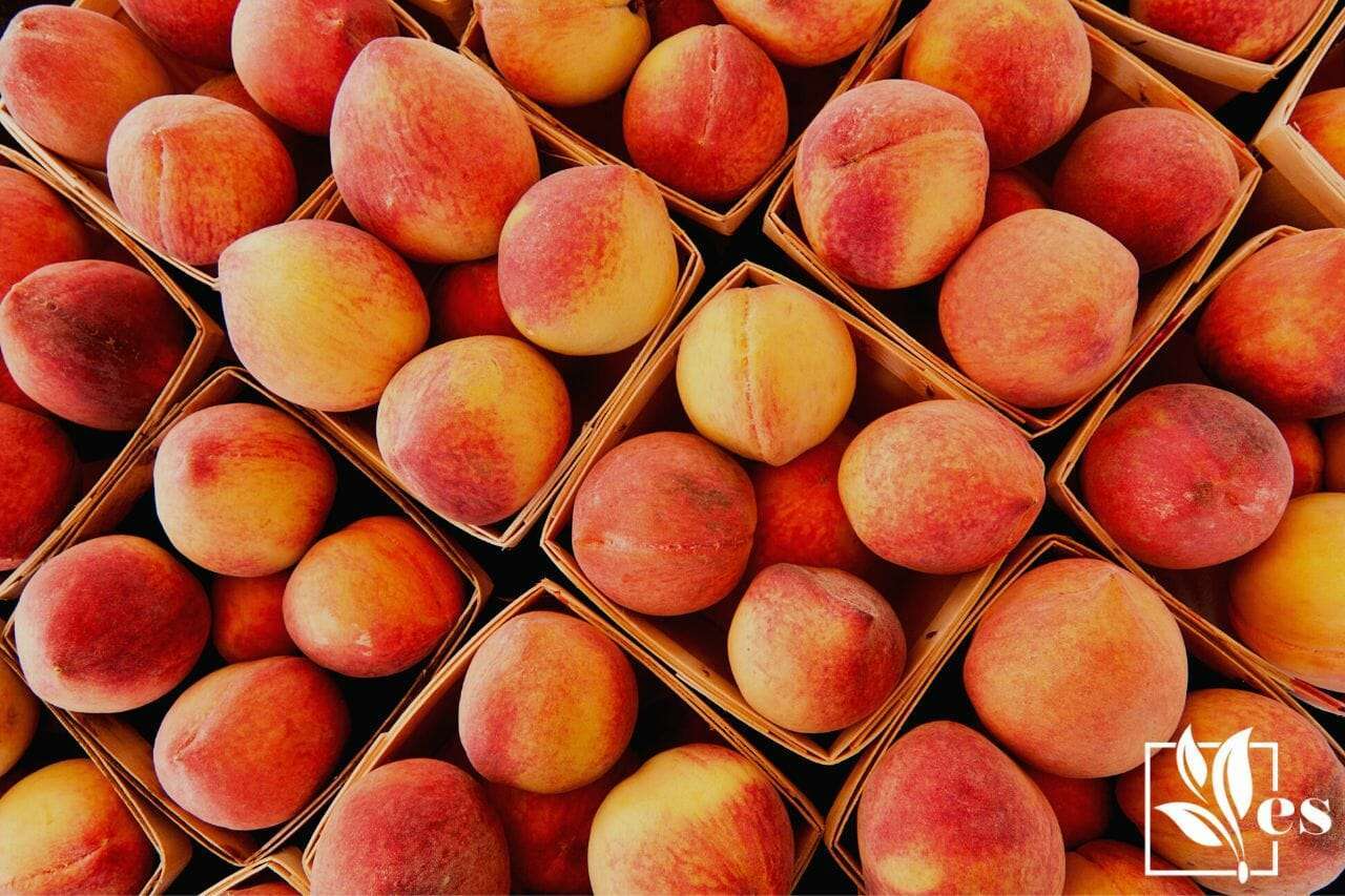 boxes of peaches for sale at a farmers market