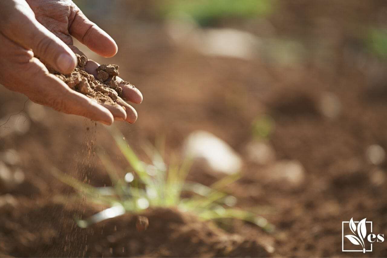 soil in farmer hands