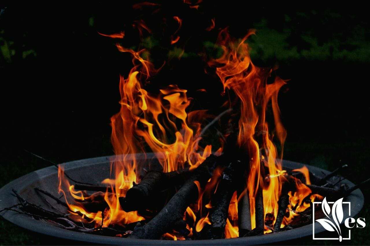 Burning Woods in a Fire Pit