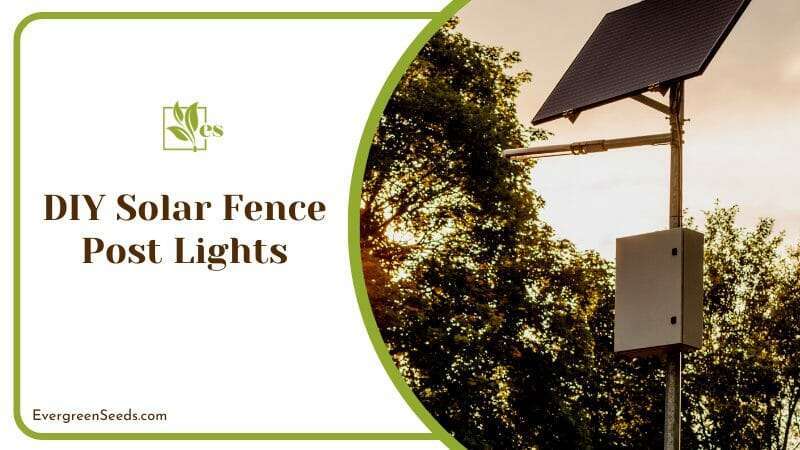 DIY Solar Fence Post Lights for Garden