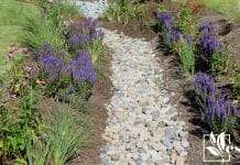 Dry Drainage Ditch
