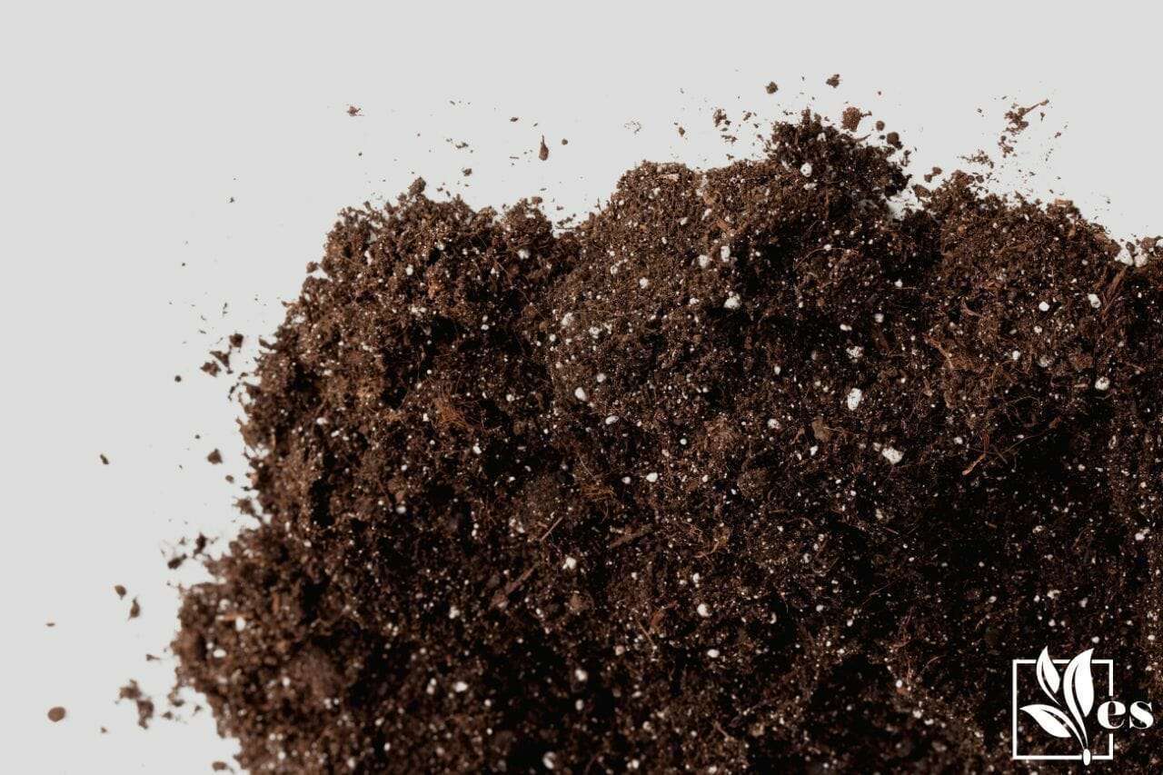 Heap of potting soil (dirt) on white