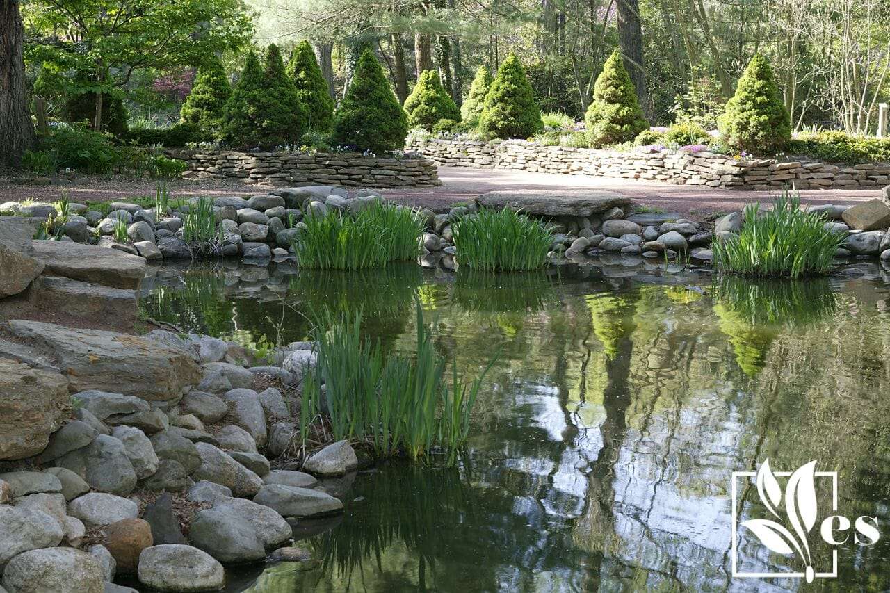 7. Backyard Pond