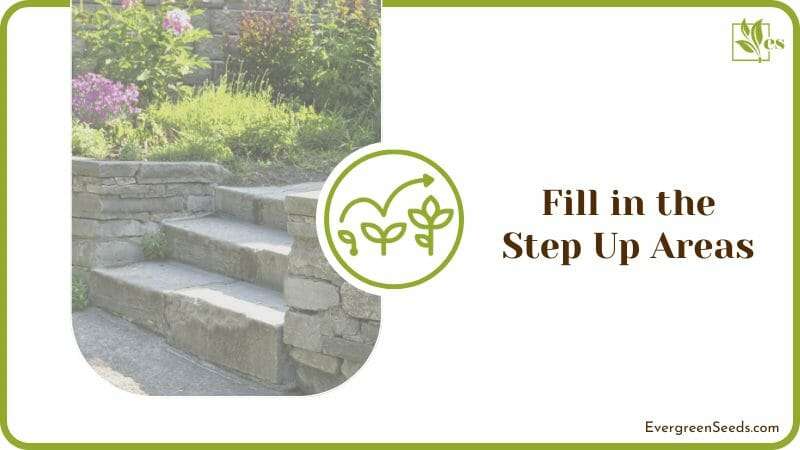 Fill in the Step Up Areas