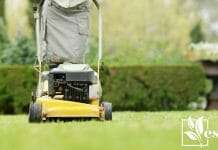 Close up low section of woman cutting grass with lawn mower