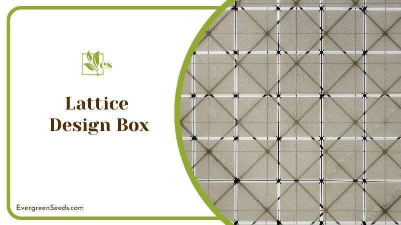 Lattice Design Box Yard Landscape Idea