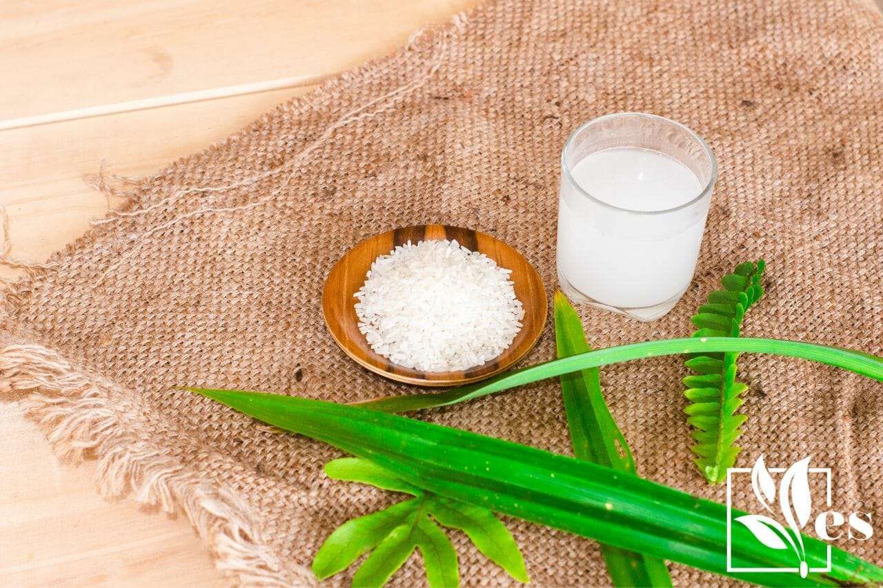 Rice Water For Plants