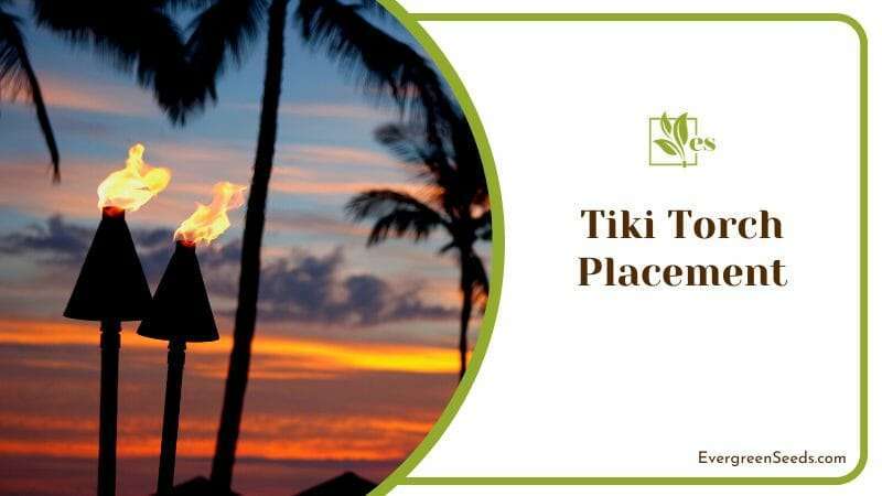 Tiki Torch Placement for Tiki Bar