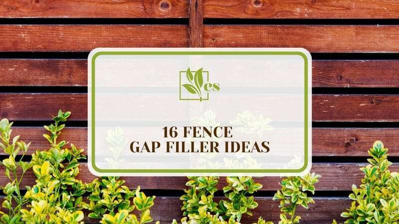 16 Fence Gap Filler Ideas