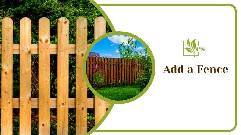 Add a Fence for Arizona House Yard Garden with Grass and Trees