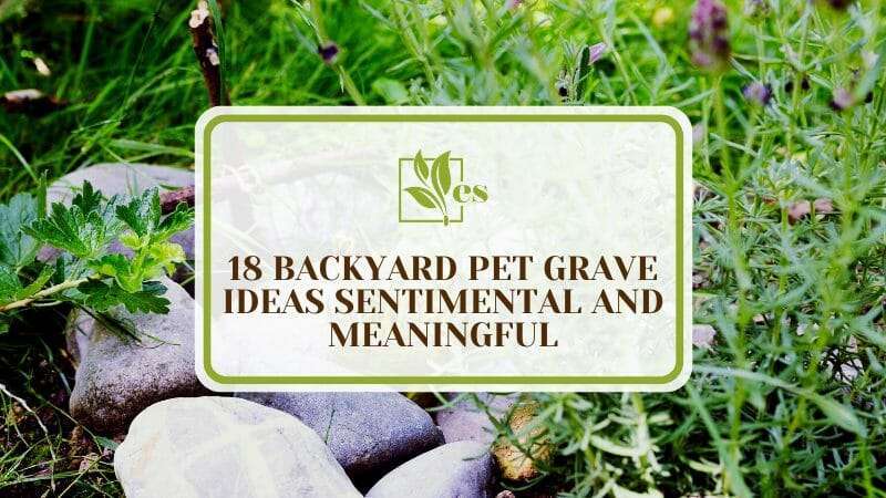 Backyard Pet Grave Ideas Sentimental and Meaningful