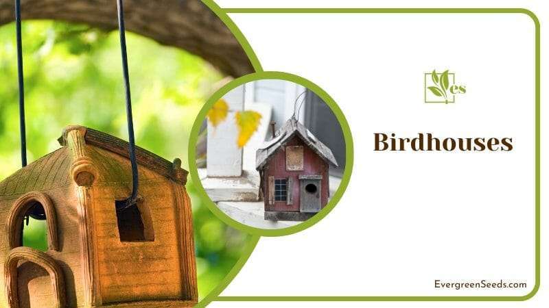 Birdhouses in a Brooklyn Backyard