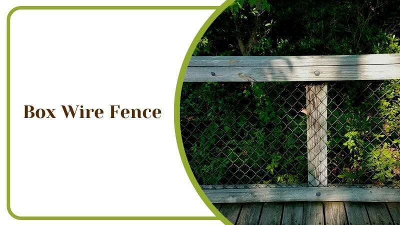 Box Wire Fence Garden Protector Eco Friendly Picket Solution