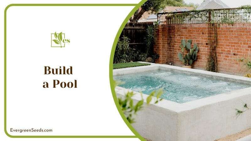 Build a Pool in Arid Backyard