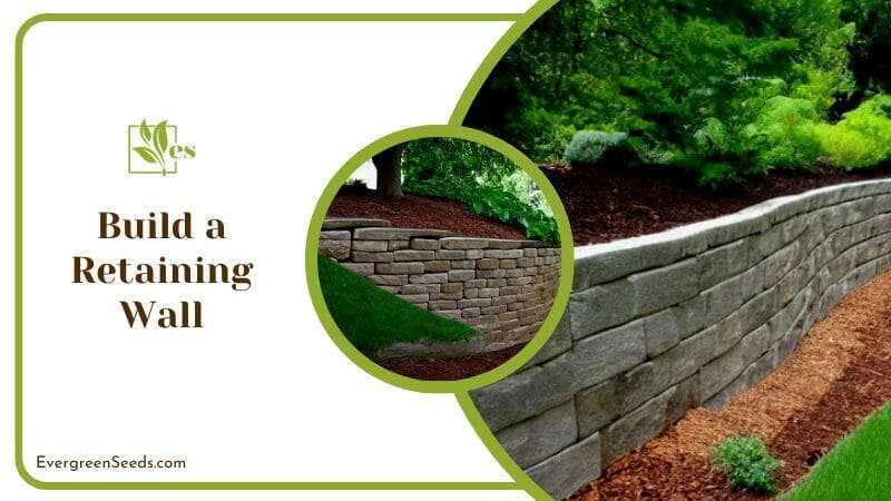 Build a Retaining Wall for Oak Trees In Yard