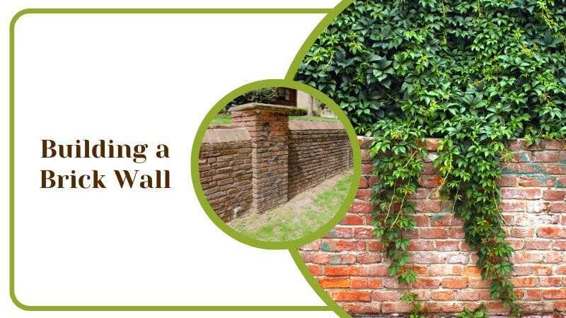 Building a Brick Wall Around Your Home Fence Protection for Plants