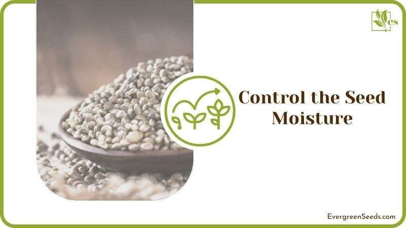 Control the Seed Moisture