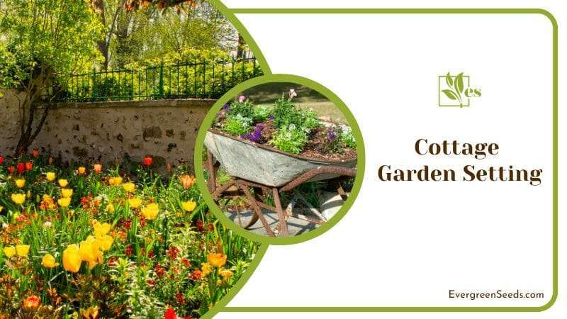 Cottage Garden Setting in a Yard