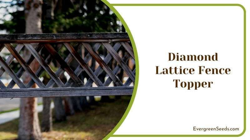 Diamond Lattice Fence Topper for Wooden Fences around Garden and Tress