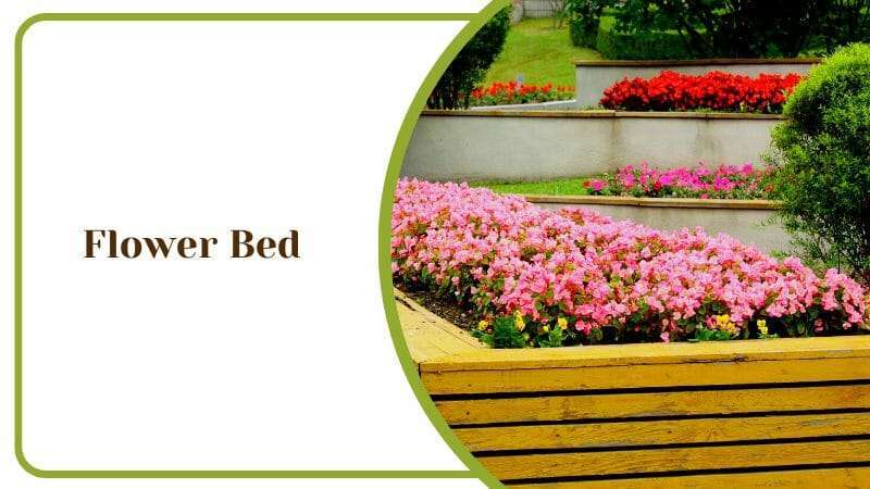 Flower Bed for Your Florida Garden Backyard Outdoor Plants