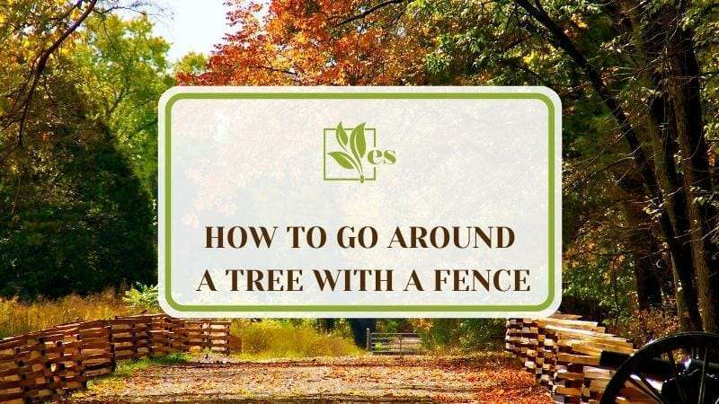 How To Go Around a Tree With a Fence
