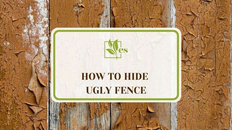 How To Hide Ugly Fence
